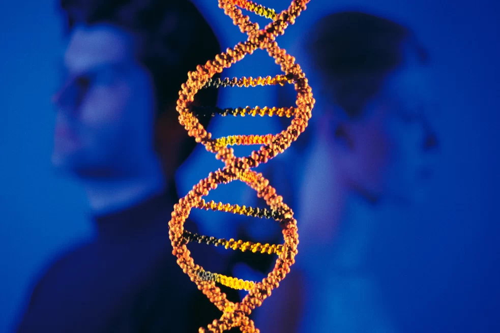 отцовство по тесту ДНК